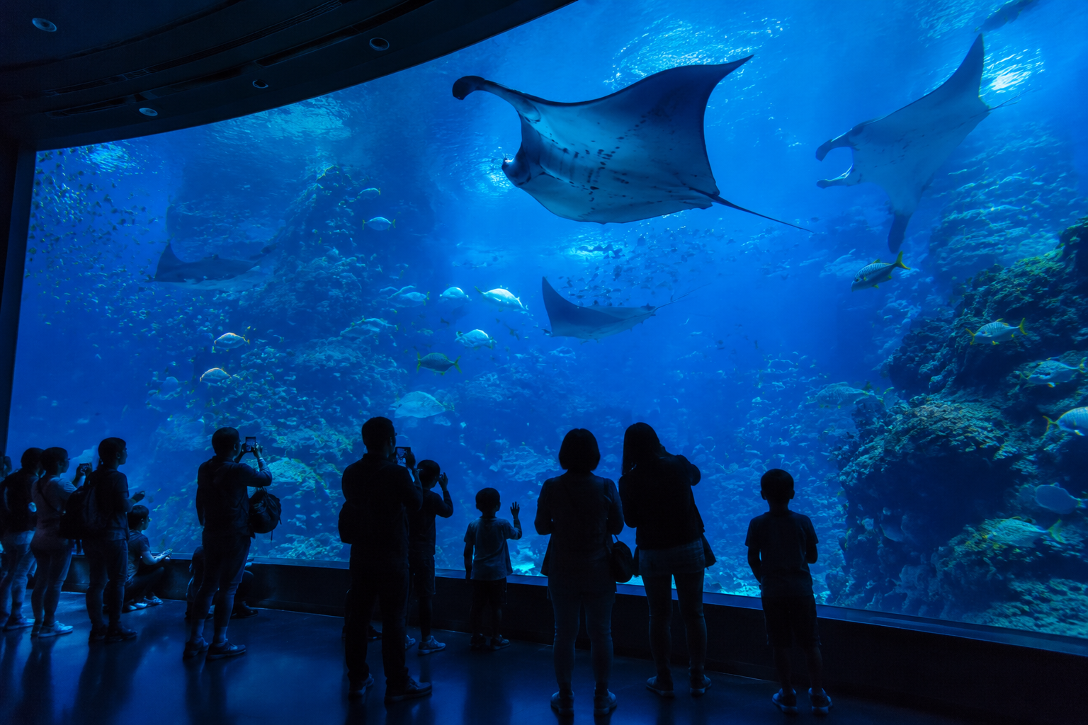 海洋公园水族馆